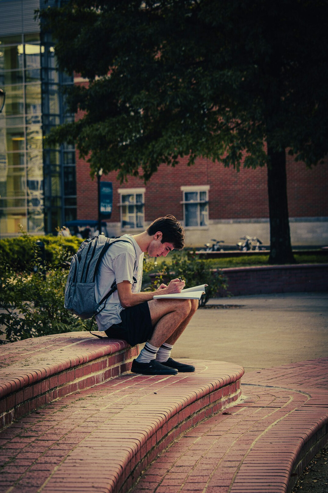 person studying with notebook